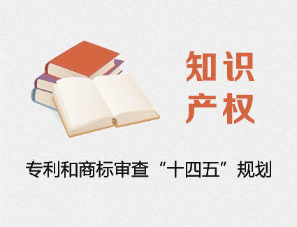 专利和商标审查“十四五”规划